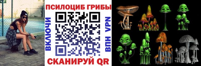 Купить где  Горячеводский  Псилоцибиновые грибы ЛСД 